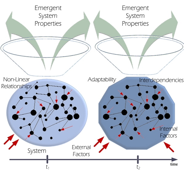 Systems and Complexity Sciences